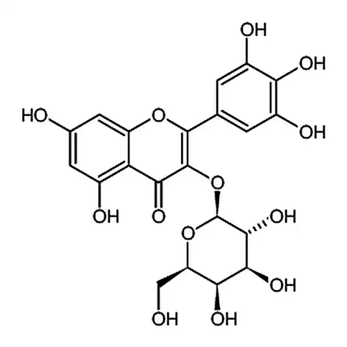 Myricetin 3-O-galactoside