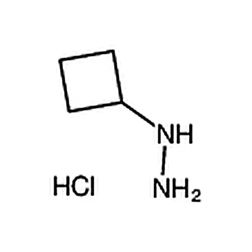 1-环ブチル基肼塩酸塩