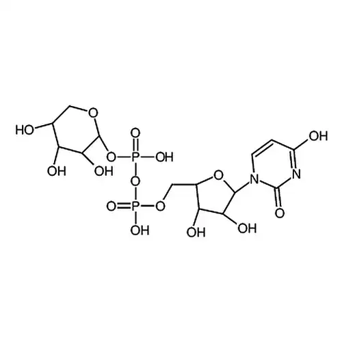 UDP-b-L-arabinopyranose sodium salt