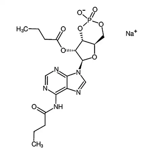 N6,2''-O-二부티릴腺苷3'',5''-环인산 나트륨염