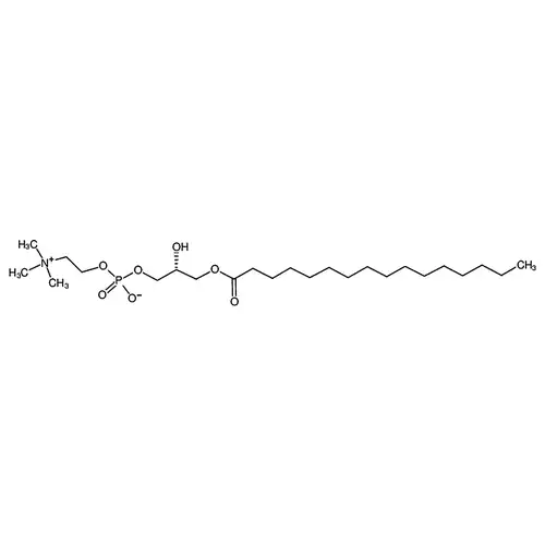 1-十六酰-sn-프로필三알코올-인산胆碱