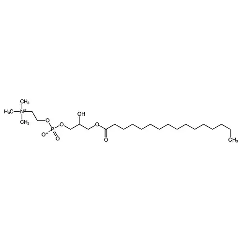 1-棕榈酰-rac-글리세린-3-인산胆碱