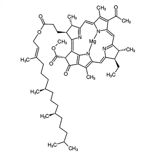 Bacteriochlorophyll，from Rhodopseudomonas sphaeroides