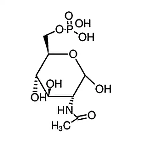 N-エチル酰-D-半乳糖アミン-6-リン酸