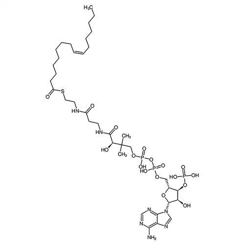 Palmitoleoyl coenzyme A lithium salt