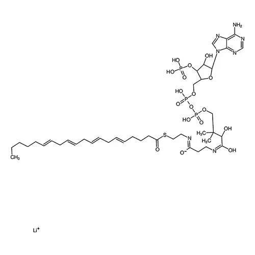 Arachidonoyl coenzyme A lithium salt