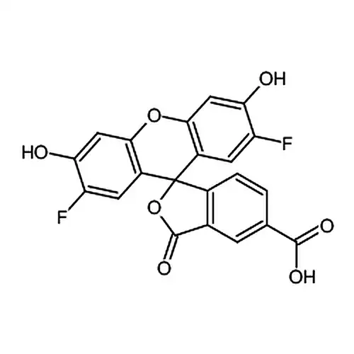 5-OG 488 酸;5-OG488カルボキシ