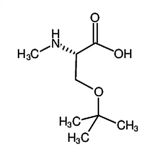 O-tert-ブチル-N-メチル-L-丝氨酸