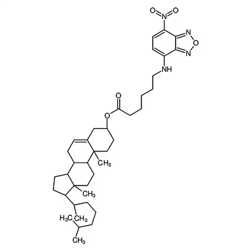 5-cholesten-3?-ol 6-[(7-nitro-2-1,3-benzoxadiazol-4-yl)amino]caproate