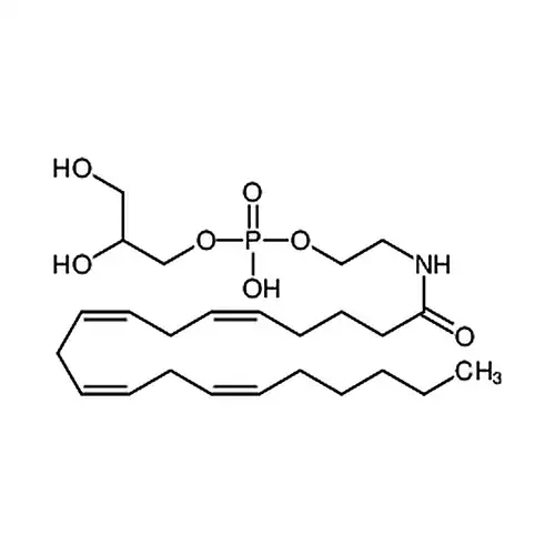 Glycerophospho-N-Arachidonoyl Ethanolamine
