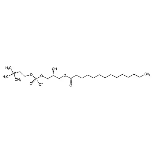 1-myristoyl-2-hydroxy-sn-glycero-3-phosphocholine