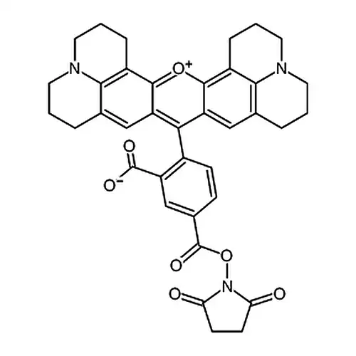 5-카르복시-X-罗丹明琥珀酰亚아민에스테르
