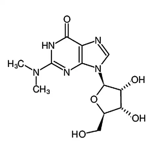 N2，N2-Dimethylguanosine