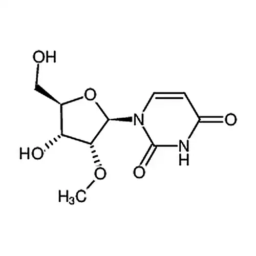2'-O-Methyluridine