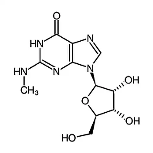 N2-Methylguanosine