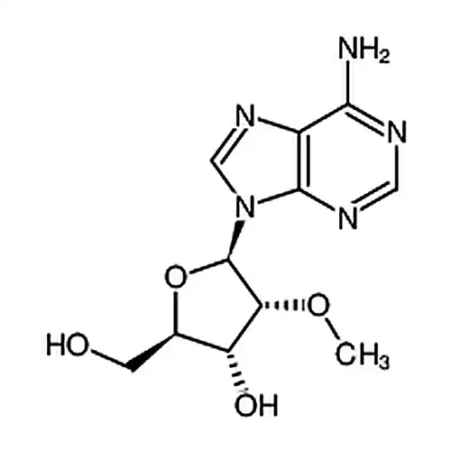 2''-метилкислорода基腺苷