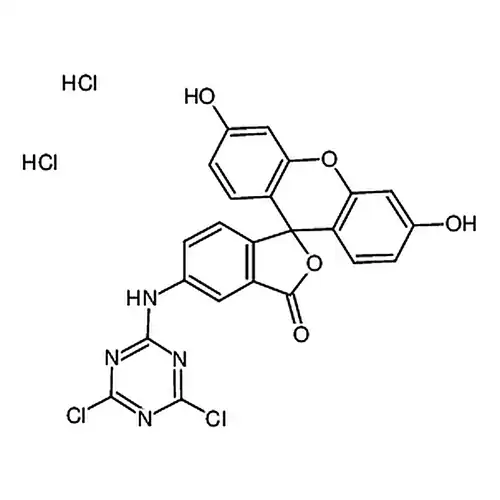 5-([4，6-Dichlorotriazin-2-yl]amino)fluorescein hydrochloride