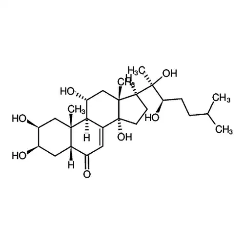 筋骨草甾케톤 C