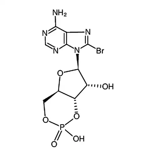 8-臭素腺苷-3′,5′-环单リン酸