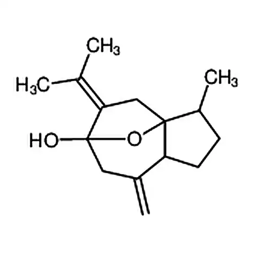 异莪术엔알코올