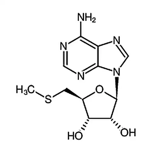 5′-脱산소-5′-(메틸황基)腺苷