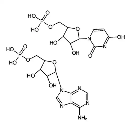 Polyadenylic acid-Polyuridylic acid sodium salt