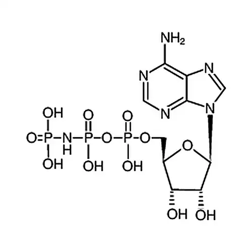 Adenosine 5'-(beta，gamma-imido)triphosphate lithium salt hydrate