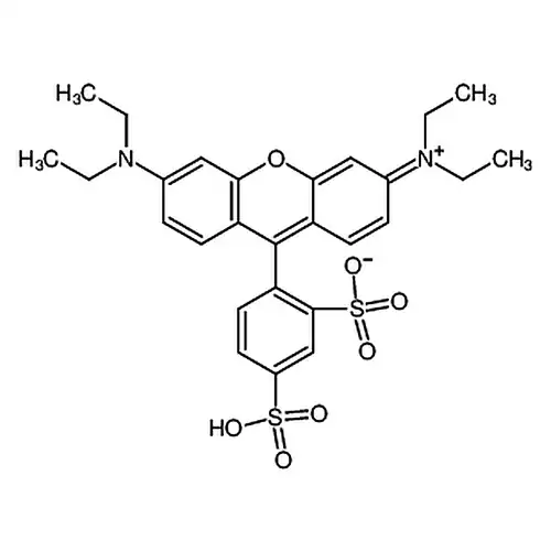 Sulforhodamine B