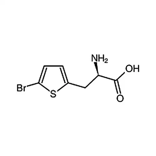 (R)-2-アミノ-3-(5-臭素チオフェン-2-基)プロピオン酸