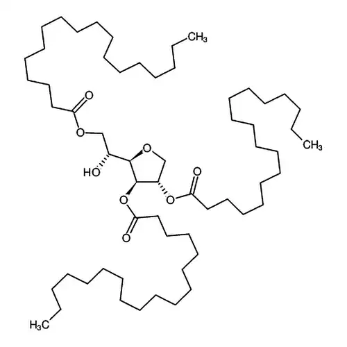 SPAN 65
