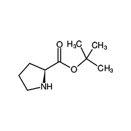 L-脯氨산tert-부틸에스테르