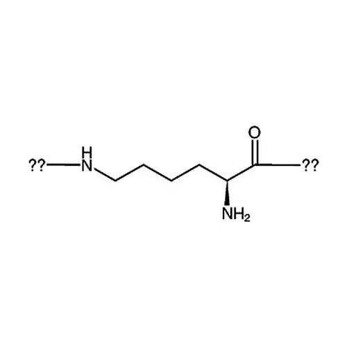 ε-Poly-L-lysine