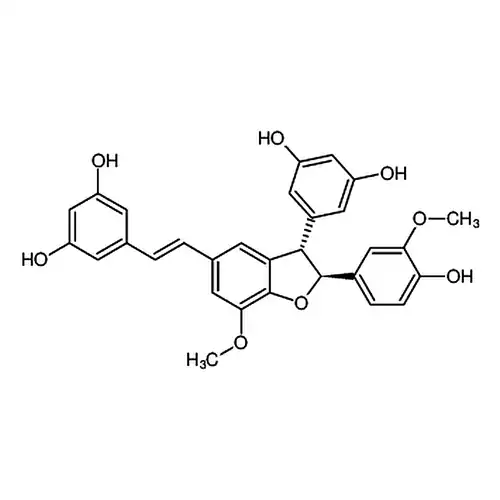 Shegansu B