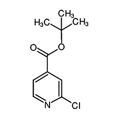 2-塩素异烟酸叔ブチルエステル