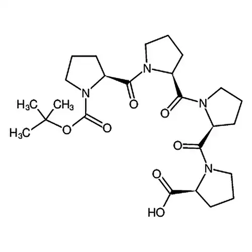 (S)-1-((S)-1-((S)-1-((S)-1-(叔бутилкислорода羰基)пирролалкан-2-羰基)пирролалкан基-2-羰基)пирролалкан-2-羰基)пирролалкан-2-羧кислота