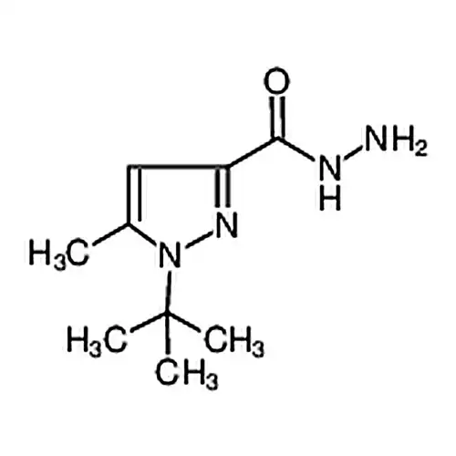 1-(tert-부틸)-5-메틸-1H- 피라졸-3-탄소酰肼