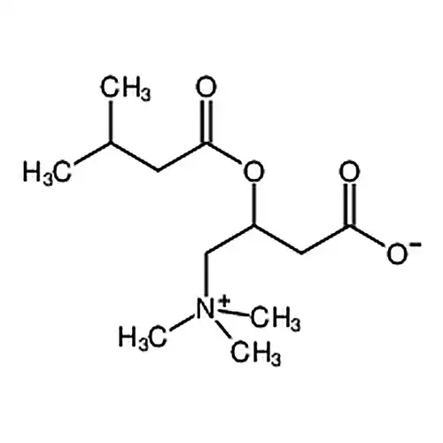 异ペンチル酰-L-肉碱