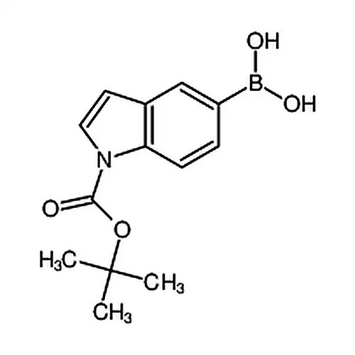 1-Boc-インドール-5-ホウ酸
