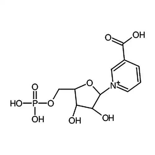 β-NicotinicAcidMononucleotide