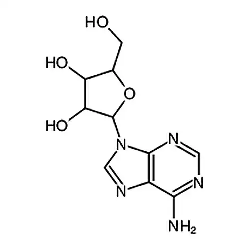 2-(6-amino-9H-purin-9-yl)-5-(hydroxymethyl)oxolane-3，4-diol