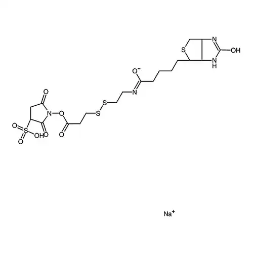 Sulfo-NHS-SS-Biotin sodium