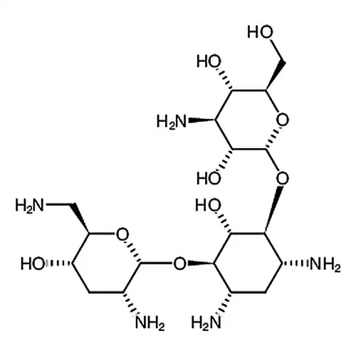Tobramycin