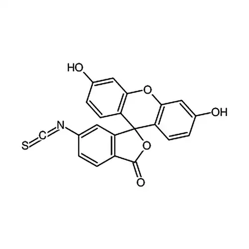6-异황氰산荧光素