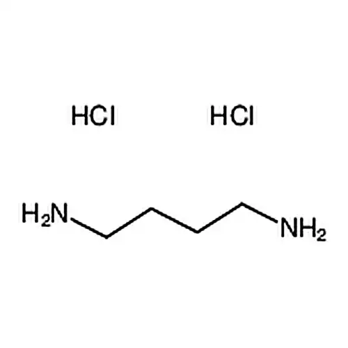 1,4-Diaminobutane dihydrochloride