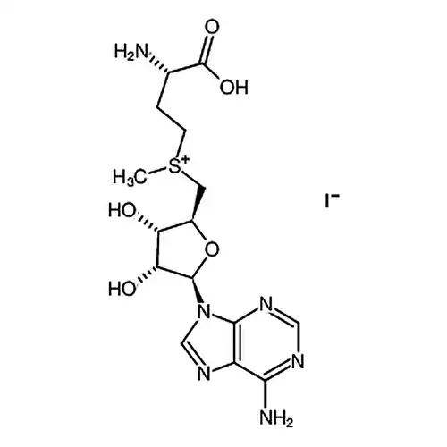 S-(5′-腺苷)-L-メチル硫黄氨酸ヨウ素塩