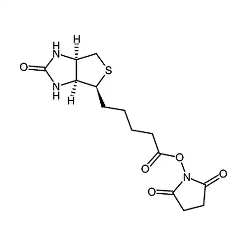 (+)生物素-N-琥珀酰亚амин基эфир