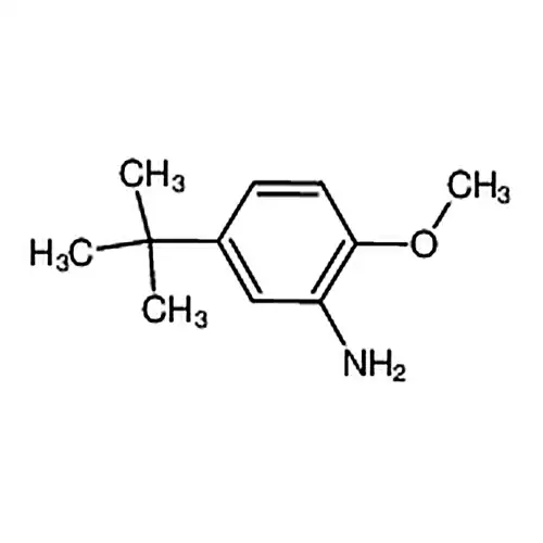 5-tert-부틸-邻茴香아민