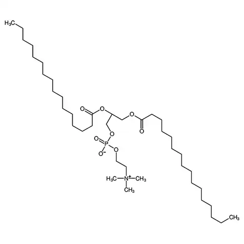 2，3-Dipalmitoyl-sn-glycero-1-phosphocholine