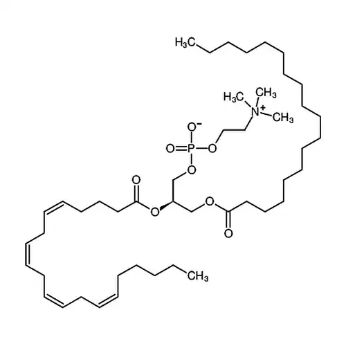 L-α-인脂酰胆碱-β-花生四엔酰-γ-硬脂酰