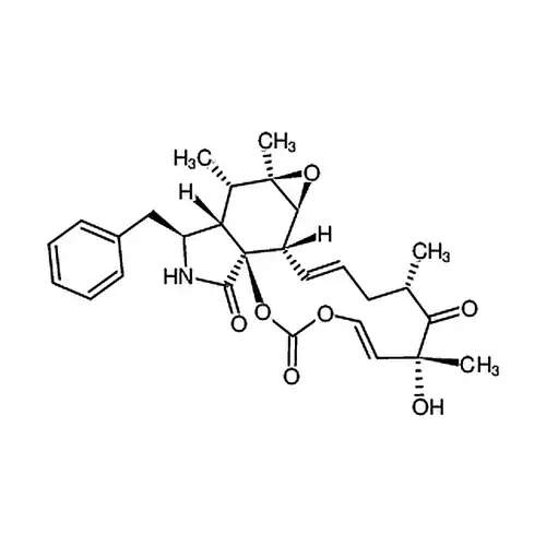 Cytochalasin E